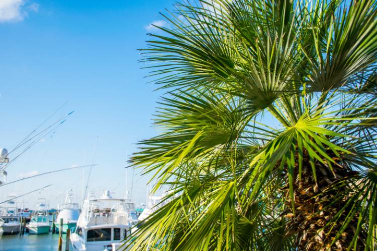 A view of boats in Port Aransas