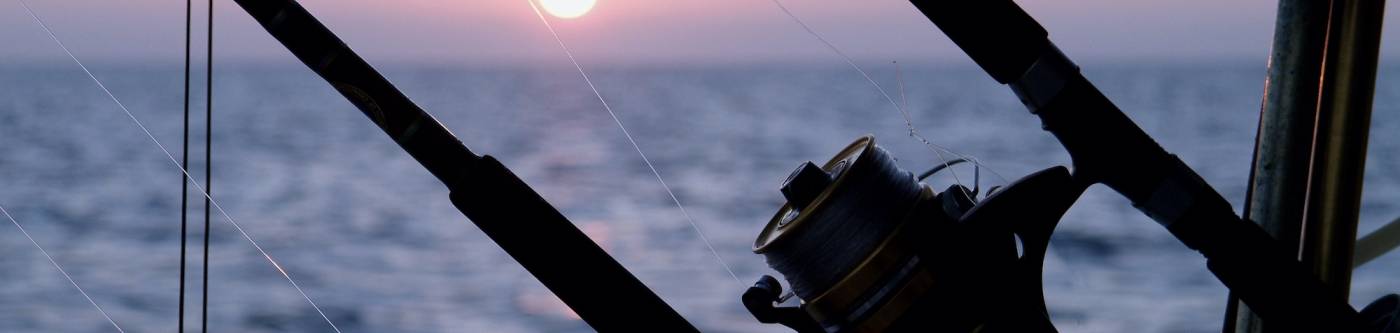 A fishing pole at sunset