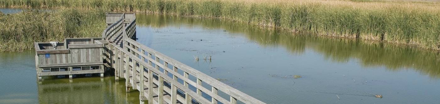 Take a walk on a boardwalk in Port Aransas